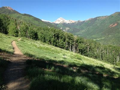 Hiking Trail into the Woods