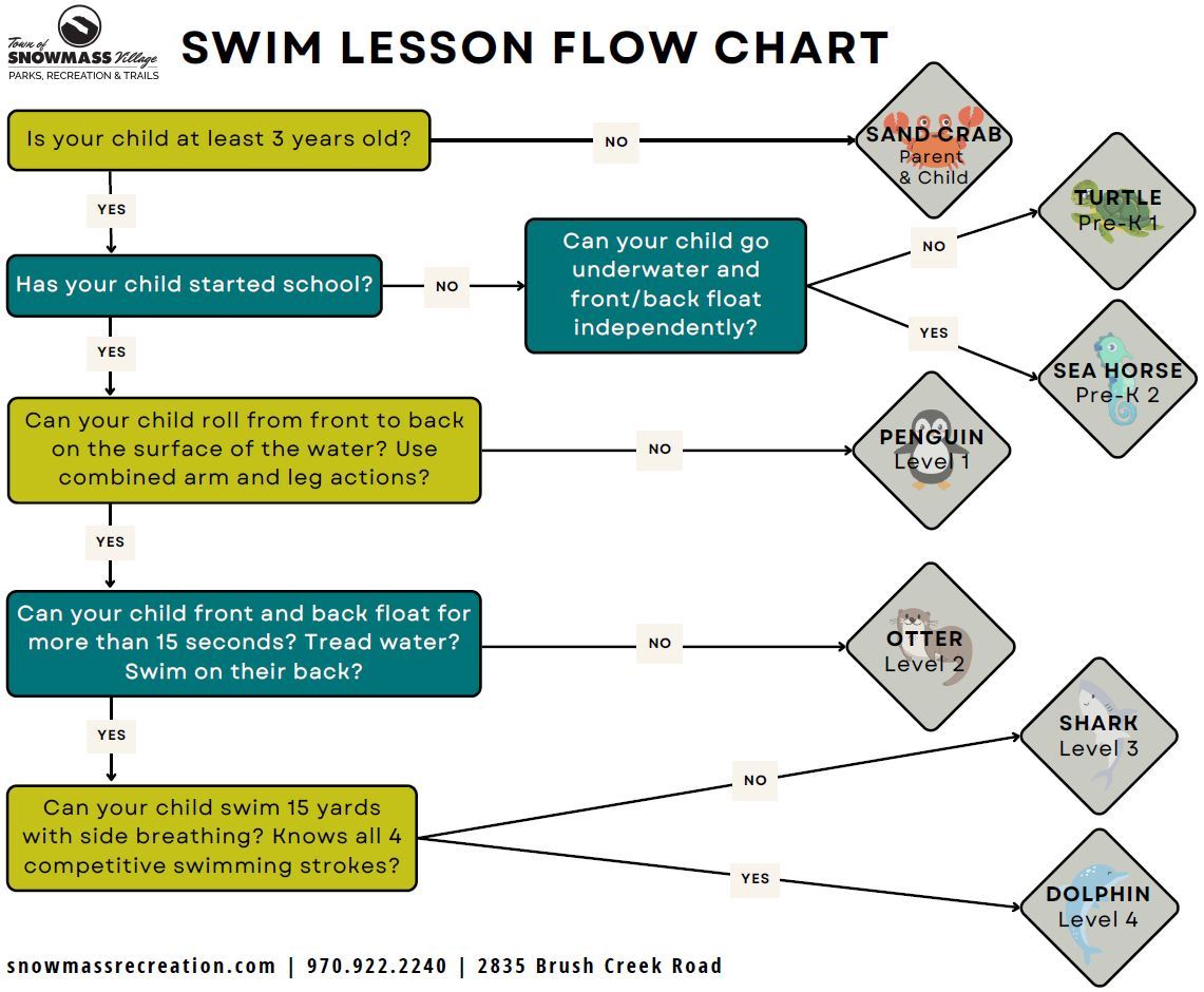 Swim Lesson Flow Chart